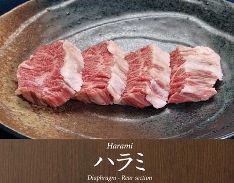 上位ランク！特選牛サガリ 高級店 レストラン用 ハンキングテンダー500g 専門店用/BBQ/焼肉/希少 業(yè)務用人気部位 10kg迄送料同額にて同梱可