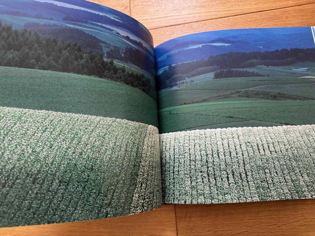 前田真三・前田晃作品集 二人の丘　_画像6