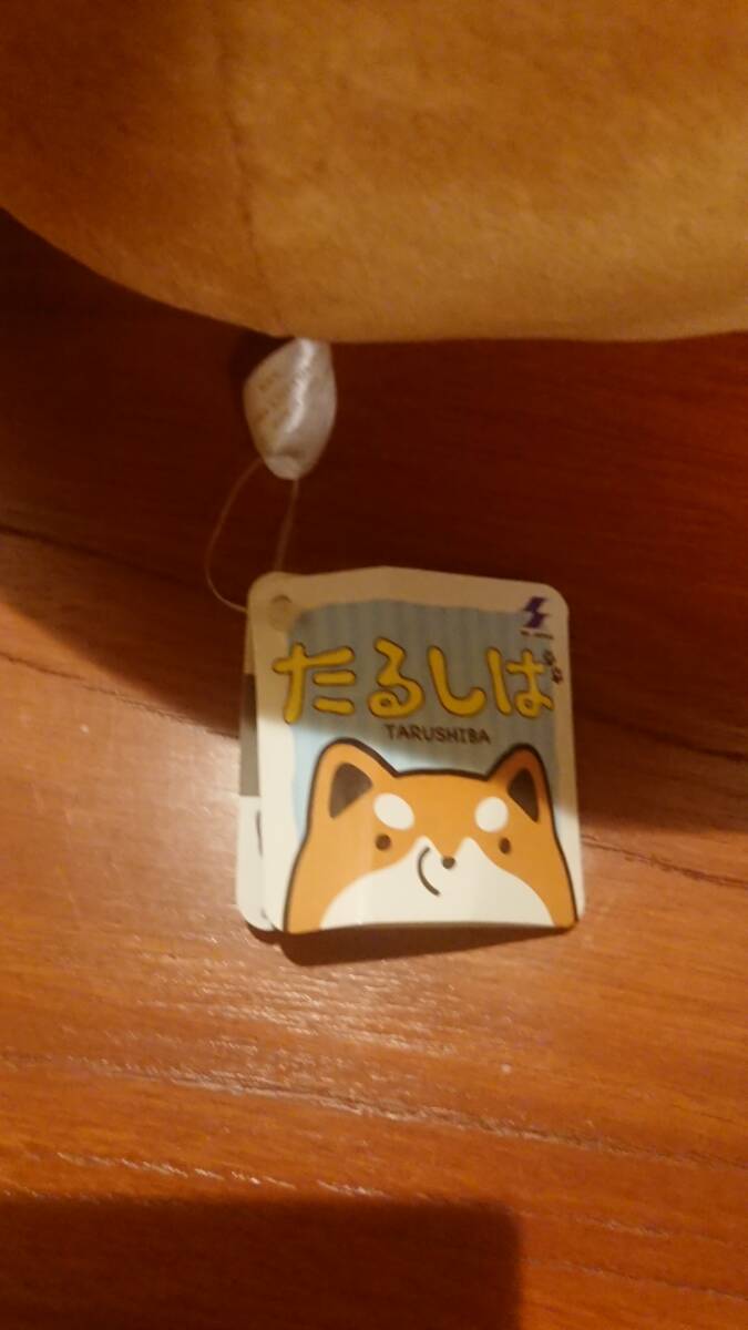 たるしば まんまるBIGぬいぐるみ タグ付き_画像3