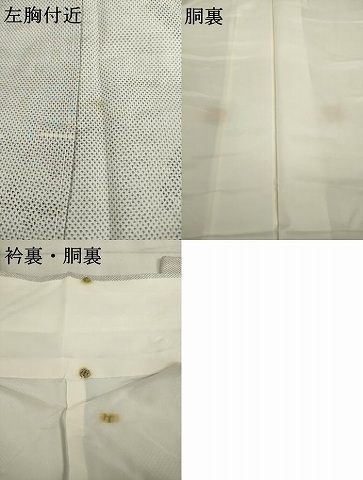  flat мир магазин кимоно * подлинный Ooshima эпонж белый Ooshima 9 maru ki. вода цветок документ натуральный шелк замечательная вещь AAAR6359ck