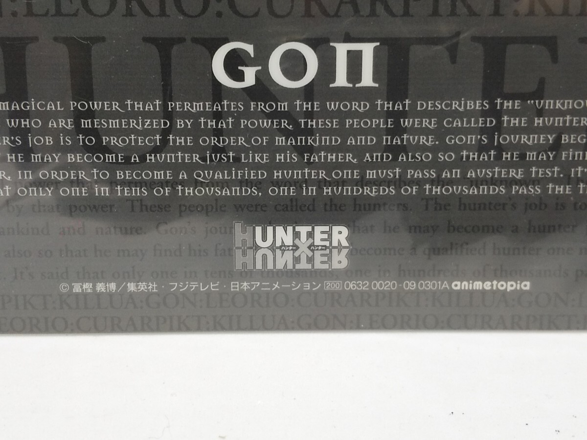 HUNTER×HUNTER ミニ下敷き ゴン 2種セット 旧アニメ B6サイズ HUNTER×HUNTER ミニ下敷き ゴン 2種セット 旧アニメ B6サイズ