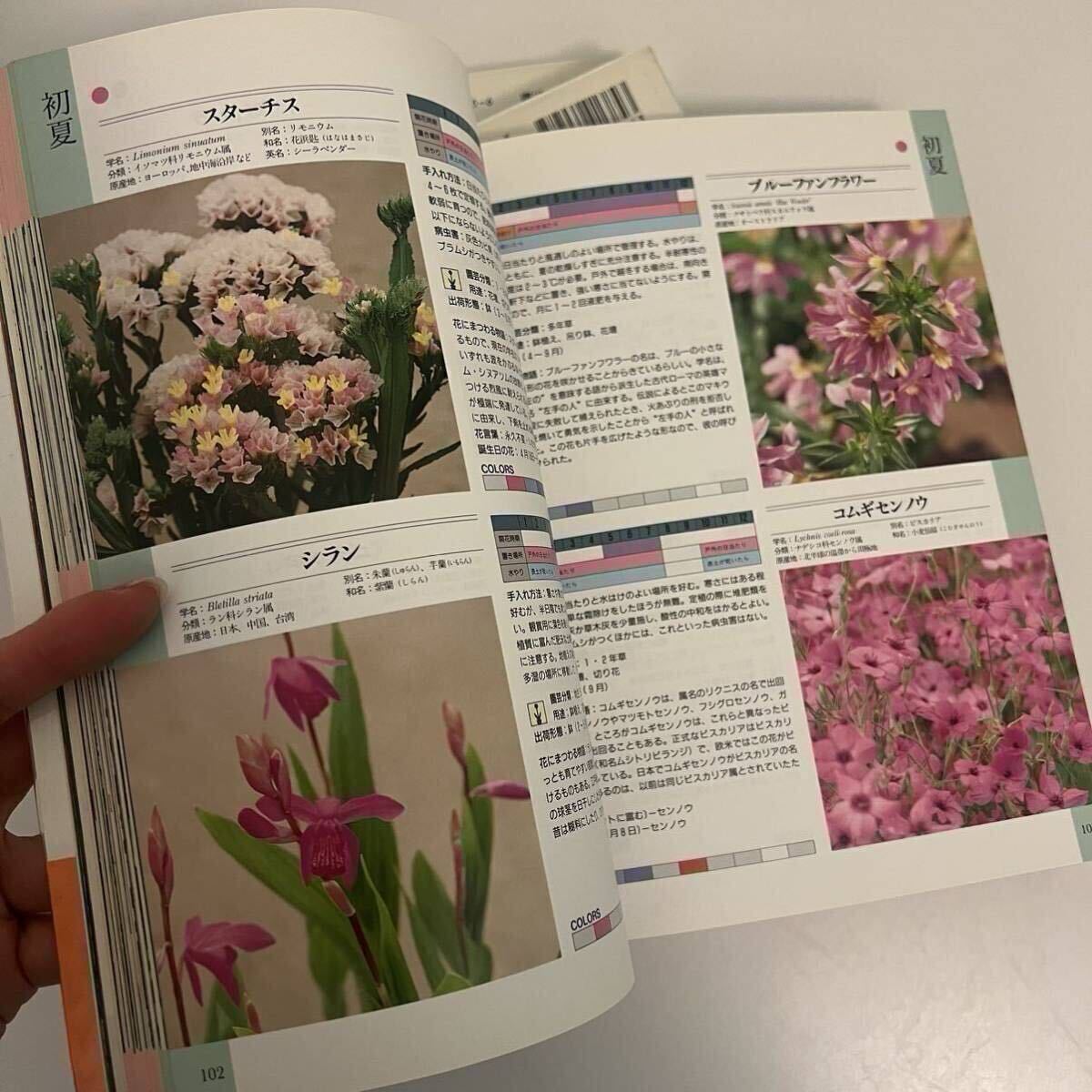 item_image_6