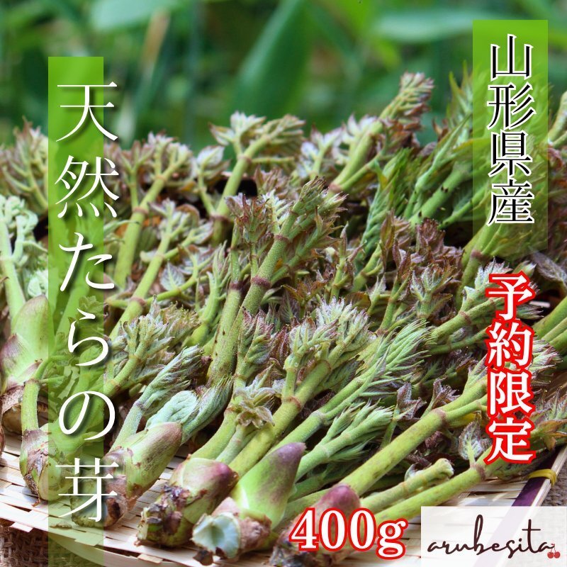 Yahoo!オークション - 【早期予約価格】山形県産山菜 たらの芽 Yahoo!オークション - 【早期予約価格】山形県産山菜 たらの芽