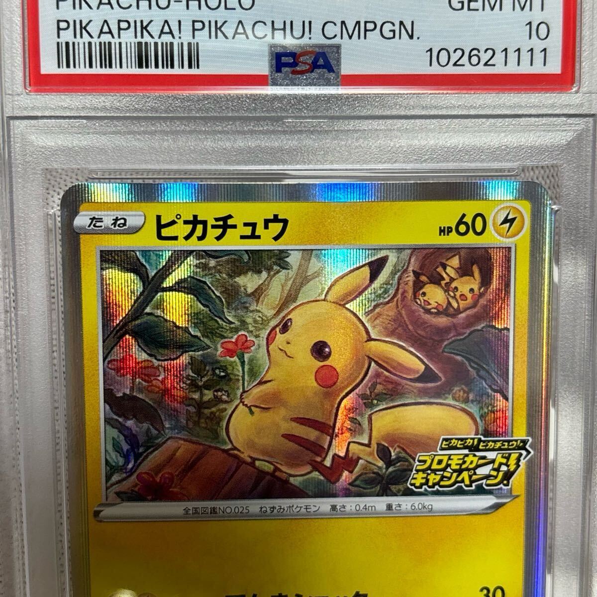 psa10 ピカチュウ プロモ 124 お花 ポケモンカード ポケカ psa10 ピカチュウ プロモ 124 お花 ポケモンカード ポケカ