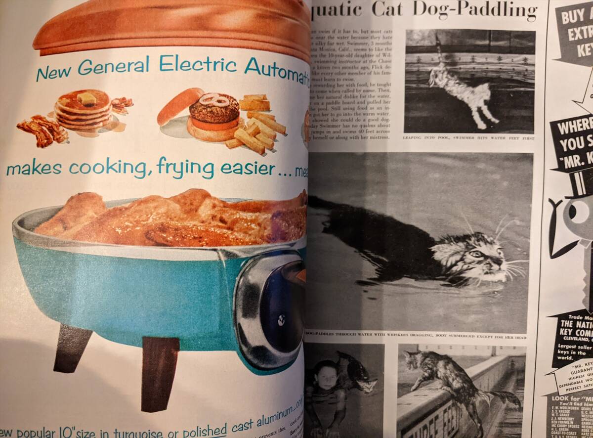 海外雑誌　LIFE（ライフ） 1956年９月１７日号_画像2