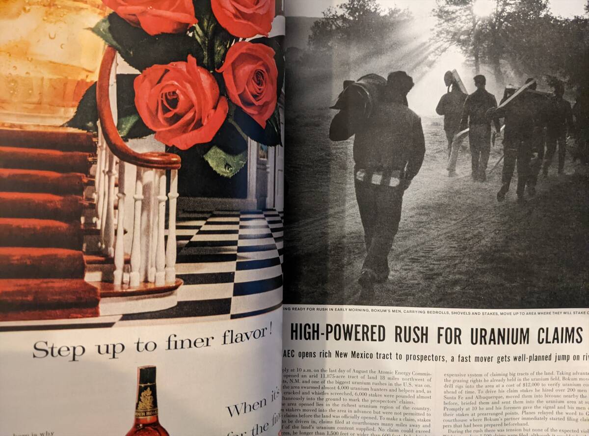 海外雑誌　LIFE（ライフ） 1956年９月１７日号_画像5