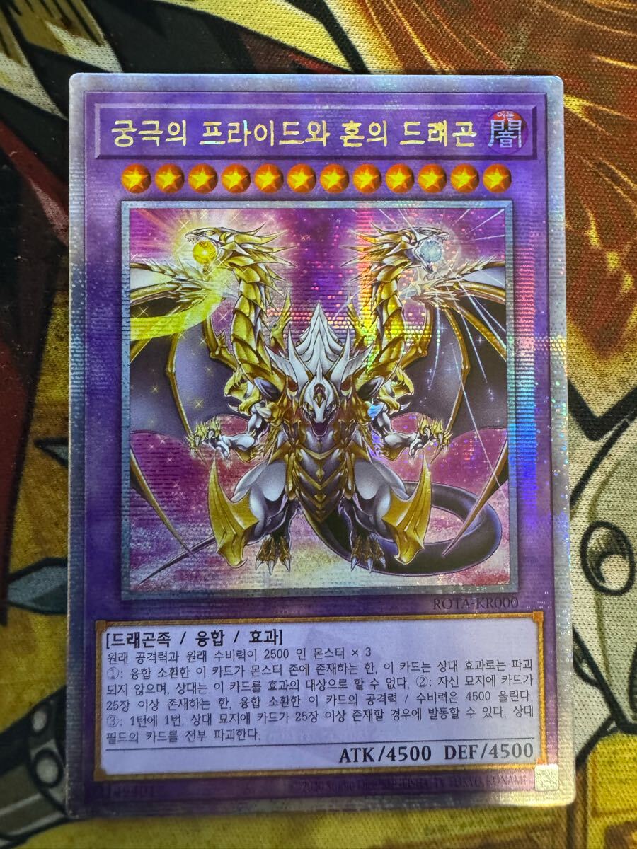 誇りと魂の究極竜 25th クオシク 韓国 1(シングルカード)|売買 誇りと魂の究極竜 25th クオシク 韓国 1(シングルカード)|売買