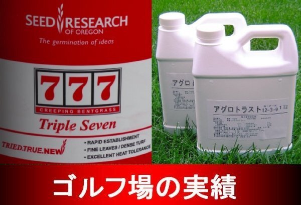 最高級ベントグラス・トリプルセブン250gと芝生用有機液体肥料アグロトラスト１リットルのセット