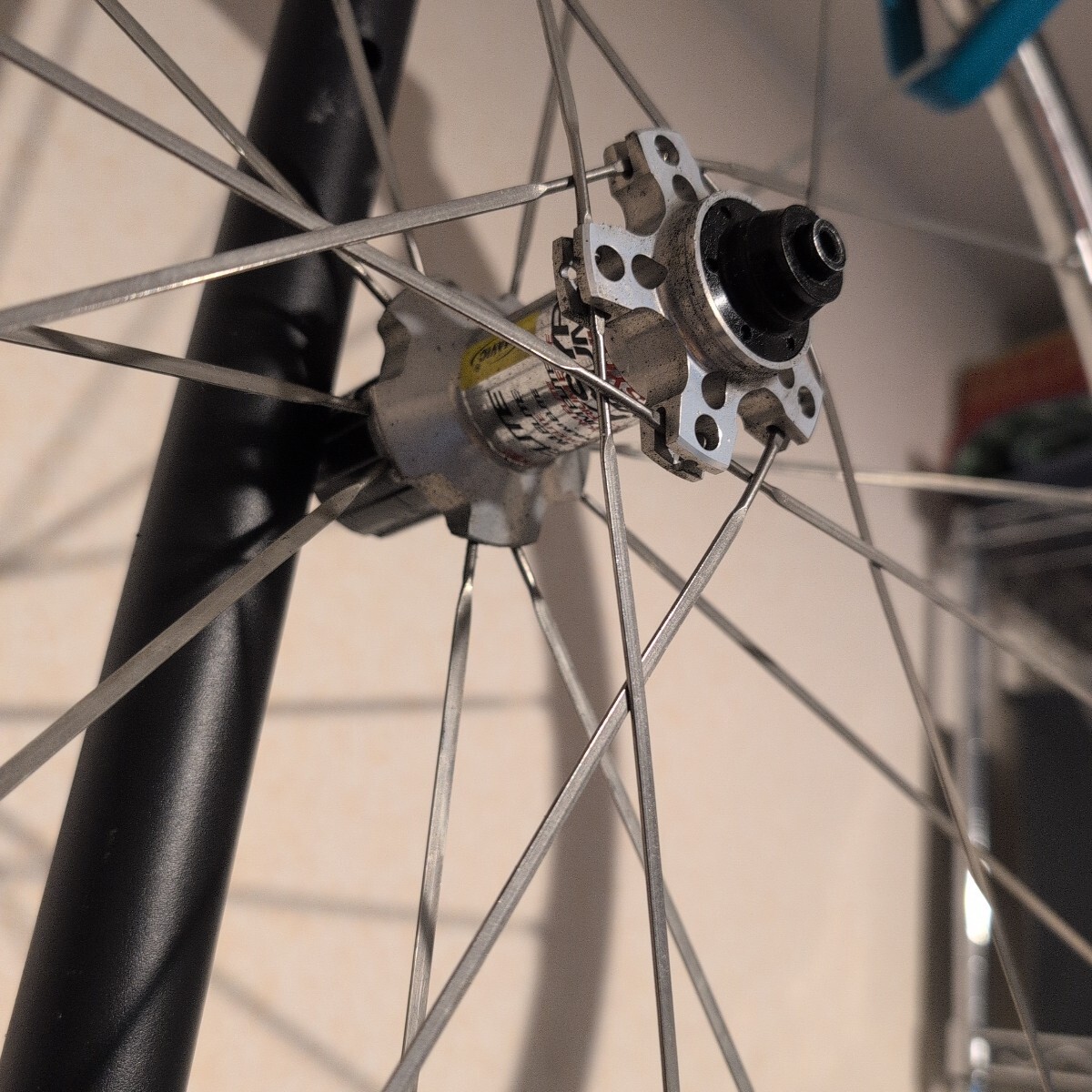 【予約販売】本 MAVIC キシリウムエリート 11s リアホイールのみ クリンチャー パーツ