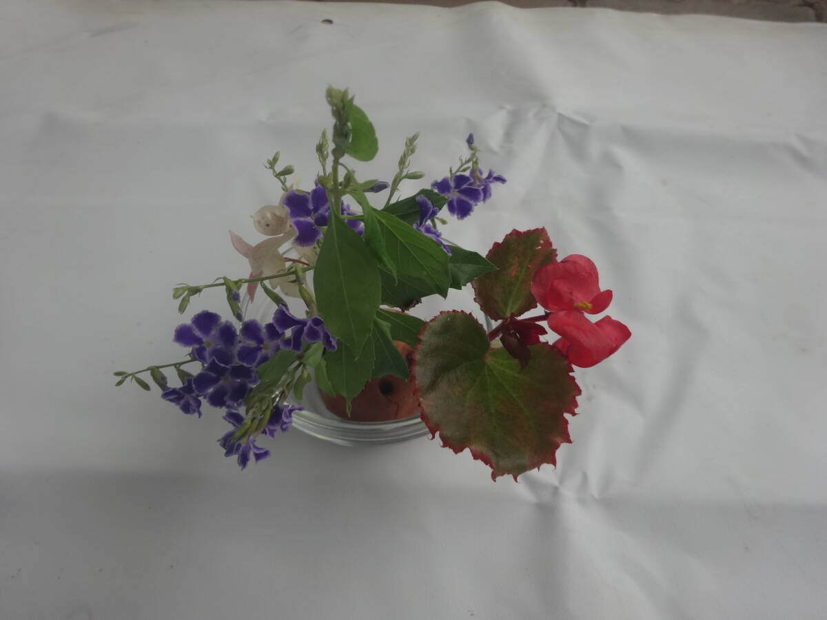 item_image_10