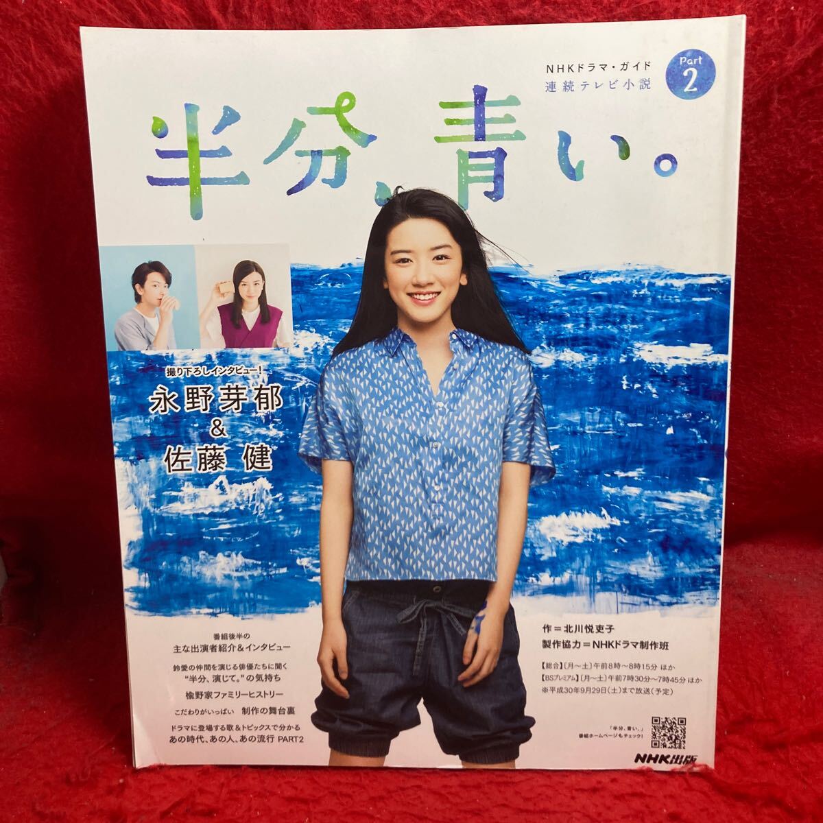 ▼NHKドラマ?ガイド 連続テレビ小説『半分、青い。 Part2 永野芽郁』佐藤健 間宮祥太朗 斎藤工 麻生祐未 須藤理彩 小関裕太 矢島健一