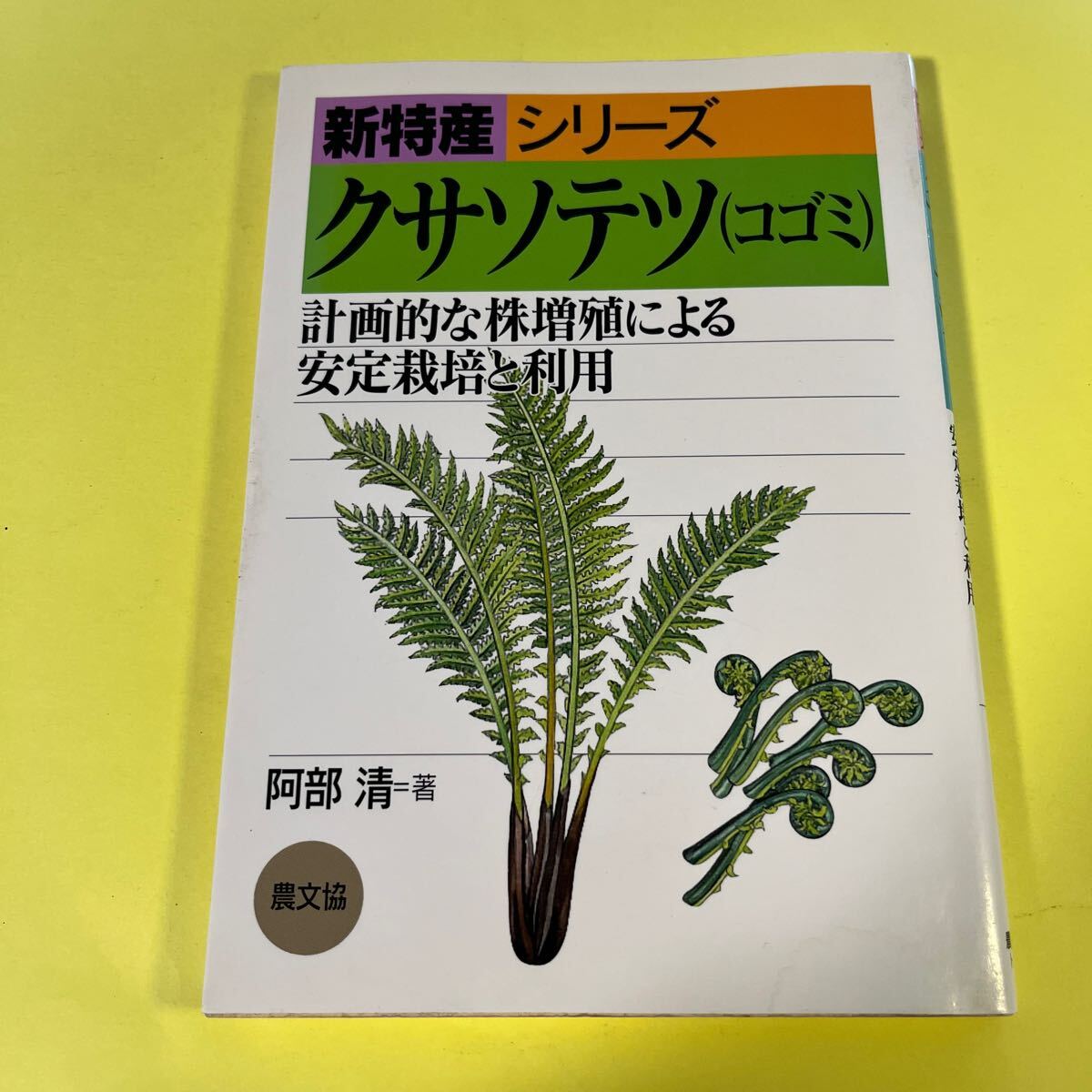 クサソテツ（コゴミ）　計画的な株増殖による安定栽培と利用 （新特産シリーズ） 阿部清／著AT_画像1
