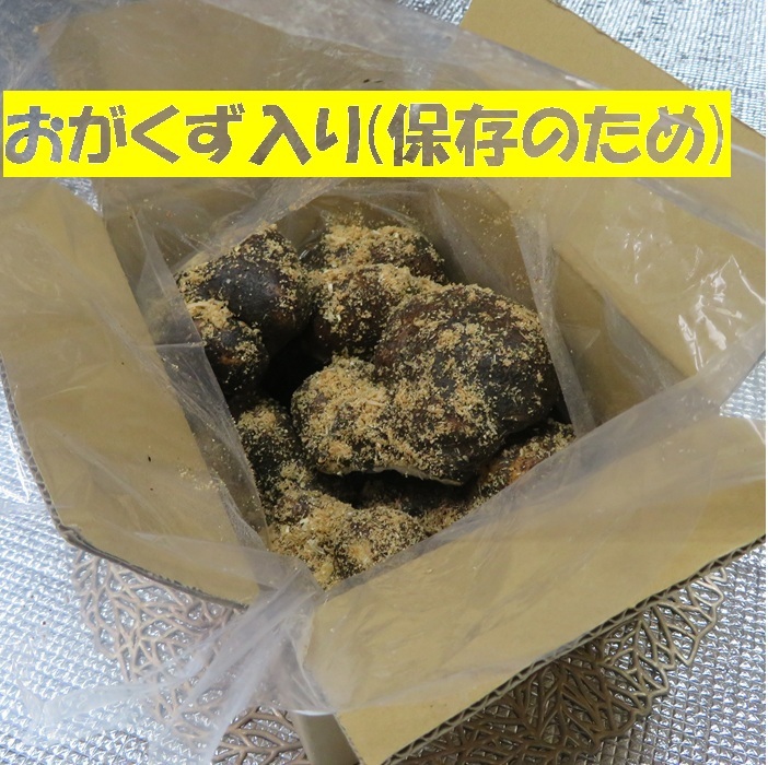 最安値 石川県 加賀 丸いも ワケあり 小玉 ２キロ (6〜15個) 全国送料無料 山の芋 １００年 伝統野菜 毎日 お手頃 健康