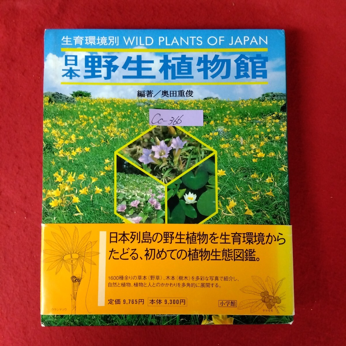 item_image_1