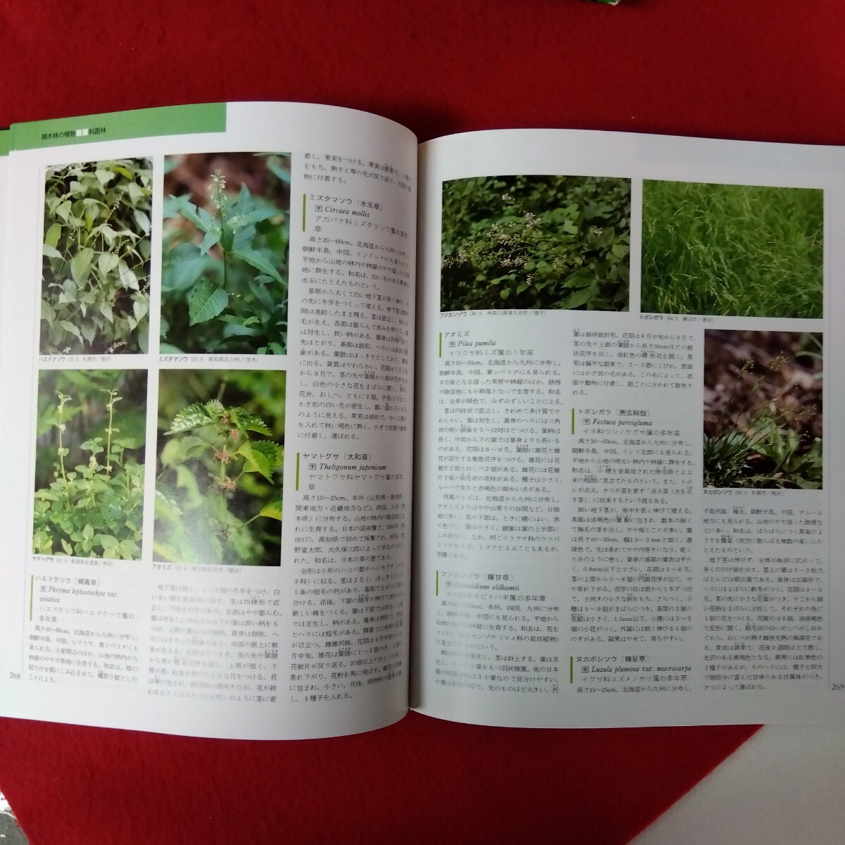 item_image_6
