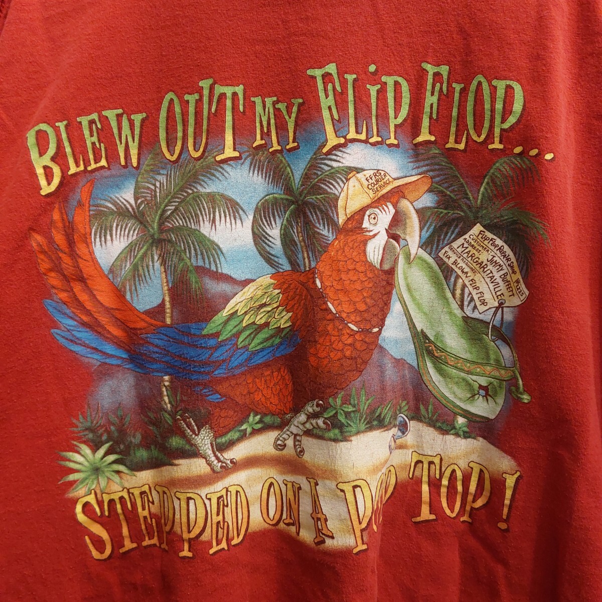 US古着 メキシコ製 アニマル Tシャツ オウム レッド 赤 両面プリント 2XL jimmy buffett margaritaville 07C1608_画像5
