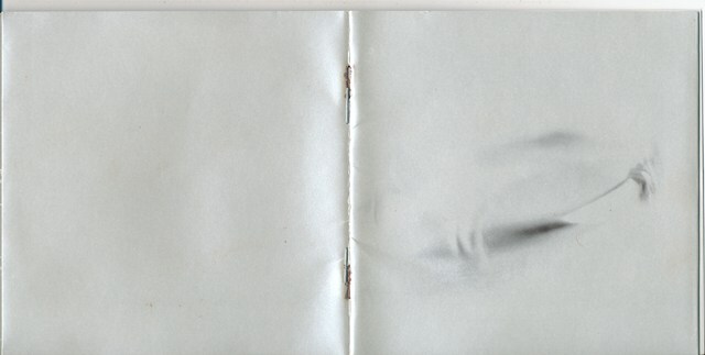 華原朋美 / LOVE BRACE /中古CD!!76766/C_画像5