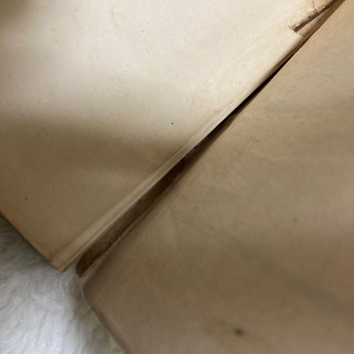 明治42年 伊達政宗欧南遣使始末 一名支倉六右衛門羅馬派遣事略 陸軍歩兵少佐堀田信直 支倉常長 ローマに派遣した慶長遣欧使節_画像4