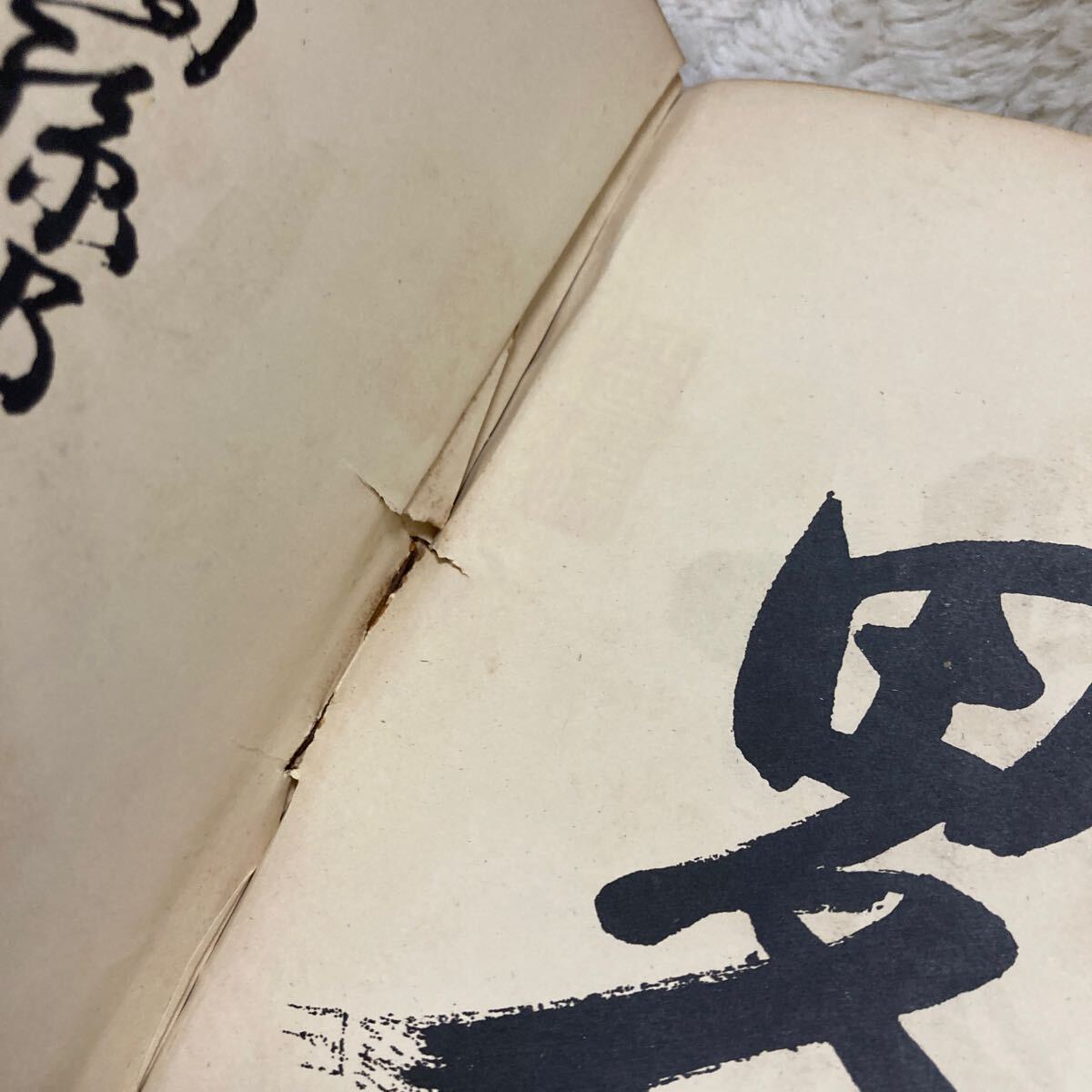 明治42年 伊達政宗欧南遣使始末 一名支倉六右衛門羅馬派遣事略 陸軍歩兵少佐堀田信直 支倉常長 ローマに派遣した慶長遣欧使節_画像5