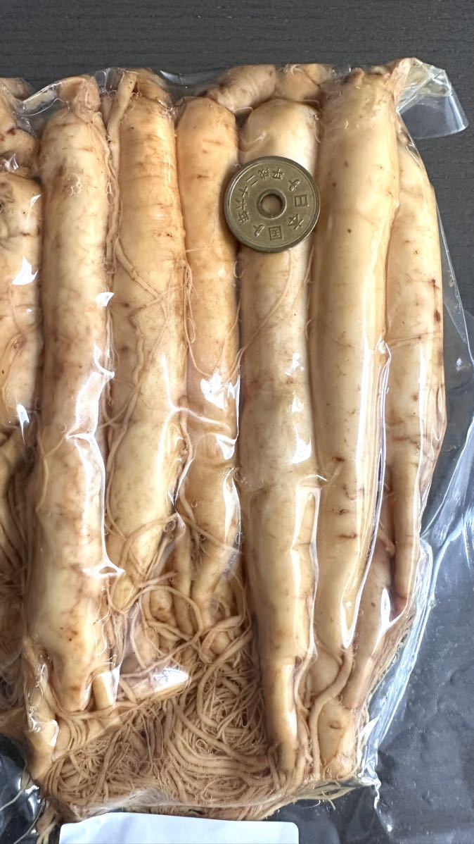 憧れの 訳あり8年根生朝鮮人参1000g 野生環境黒土露地栽培 高麗人参 野菜