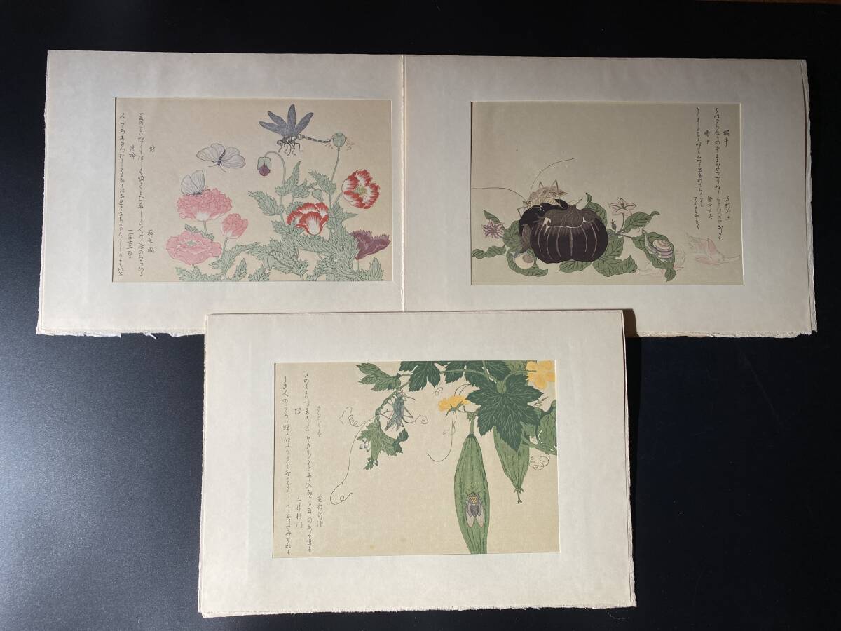 喜多川歌麿 「虫えらみ」 全15図揃 復刻版 浮世絵版画刊行会 喜多川歌麿 「虫えらみ」 全15図揃 復刻版 浮世絵版画刊行会