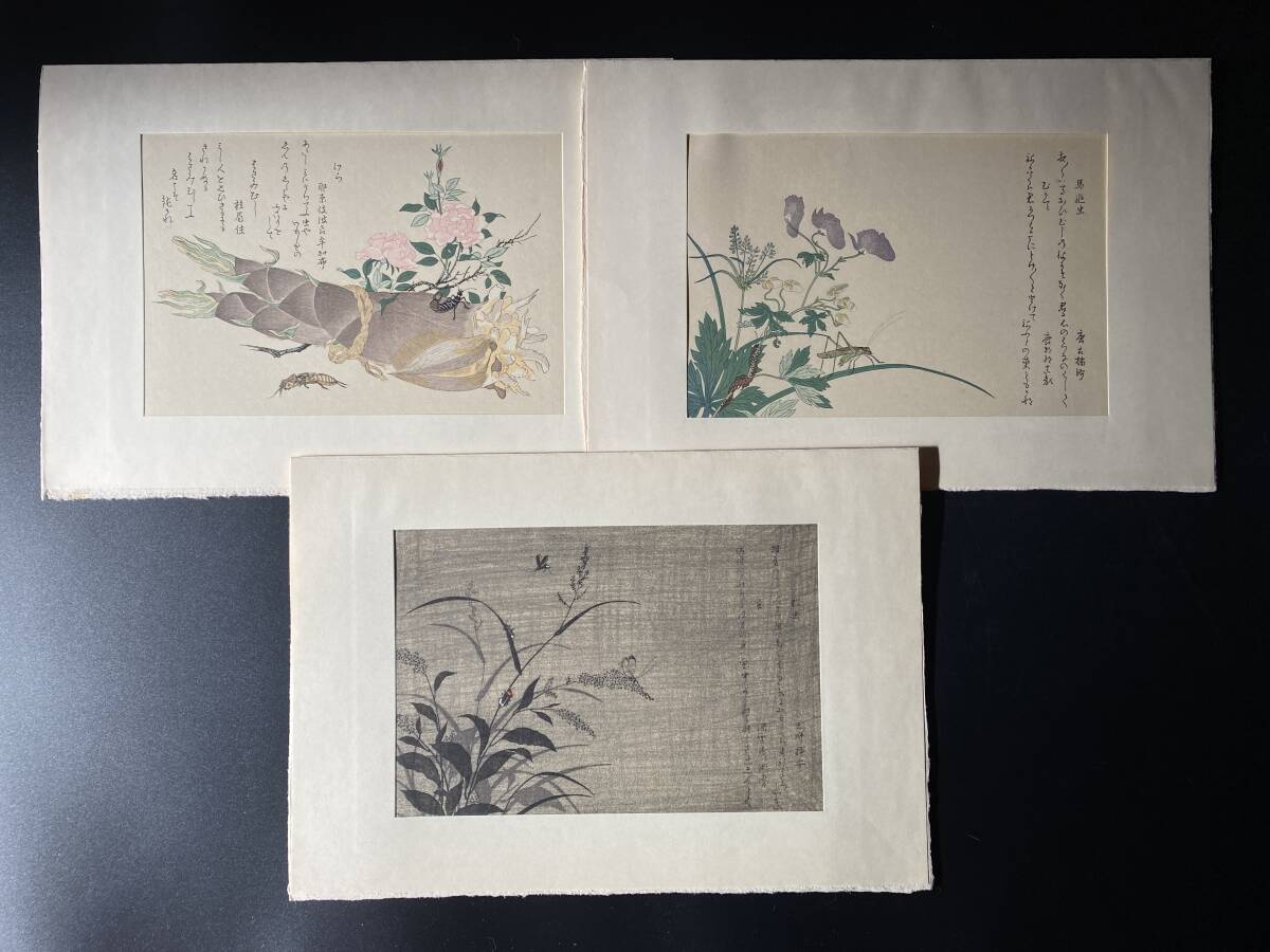 喜多川歌麿 「虫えらみ」 全15図揃 復刻版 浮世絵版画刊行会 喜多川歌麿 「虫えらみ」 全15図揃 復刻版 浮世絵版画刊行会