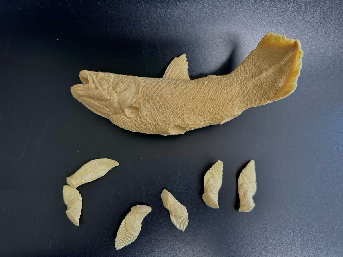 海洋堂アクアランド☆シーラカンス☆松村しのぶ(生き物)|売買 海洋堂アクアランド☆シーラカンス☆松村しのぶ(生き物)|売買