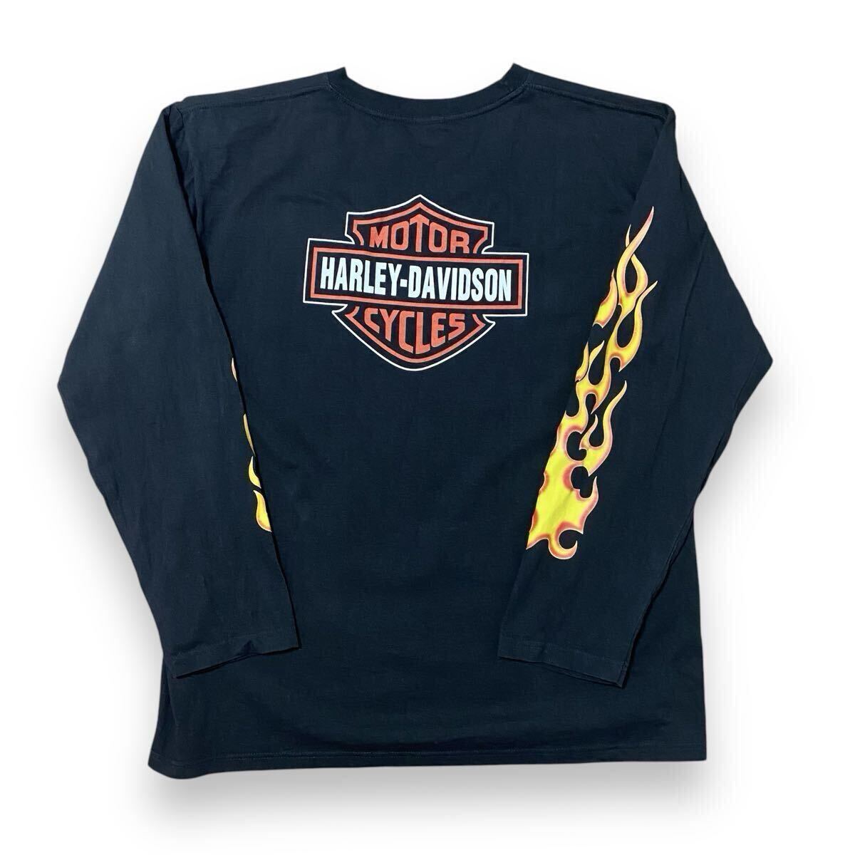 Harley Davidson vintage tee ハーレーダビッドソン 袖フレイム Harley Davidson vintage tee ハーレーダビッドソン 袖フレイム