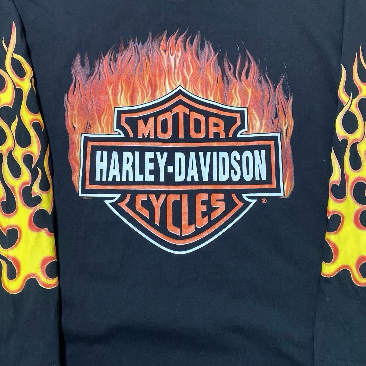 Harley Davidson vintage tee ハーレーダビッドソン 袖フレイム Harley Davidson vintage tee ハーレーダビッドソン 袖フレイム