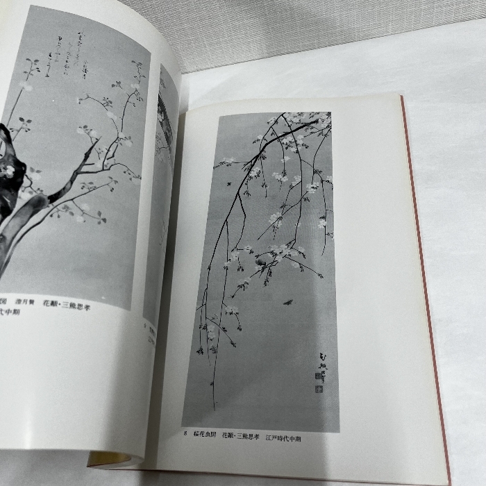 さくらの美 笹部コレクション 昭和60年 図録_画像5