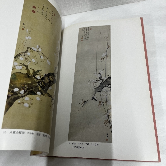 さくらの美 笹部コレクション 昭和60年 図録_画像7