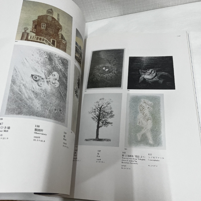 生誕100年記念 岡鹿之助展 1998年 図録(画集)|売買された 生誕100年記念 岡鹿之助展 1998年 図録(画集)|売買された