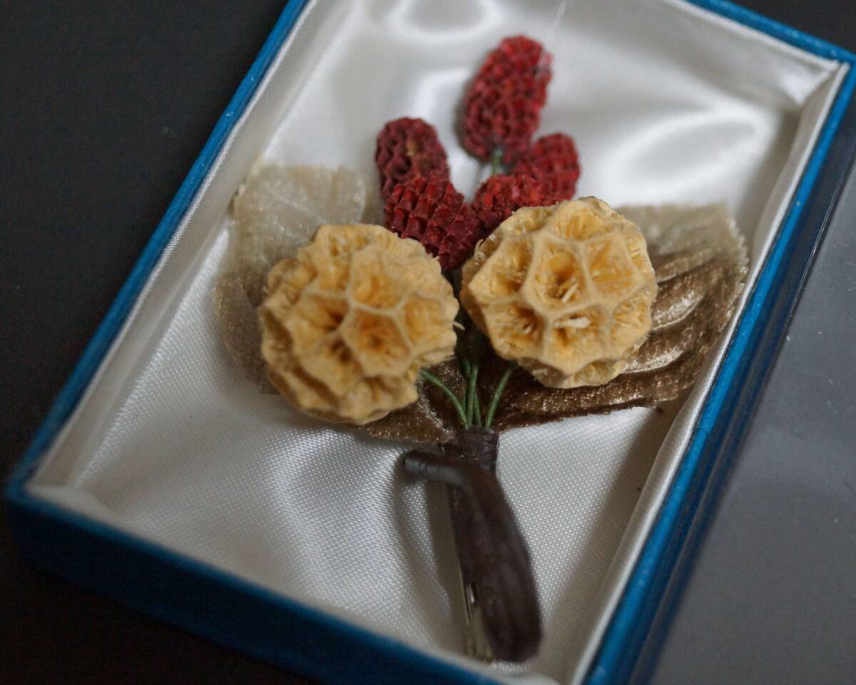 寂】本鼈甲 べっ甲 宝樹の実 ブローチ アクセサリー 装飾品 寂】本鼈甲 べっ甲 宝樹の実 ブローチ アクセサリー 装飾品
