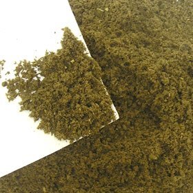 昆蟲 フォーテック [日本産?外國産クワガタムシ産卵用マット] 産卵１番【５リットル】