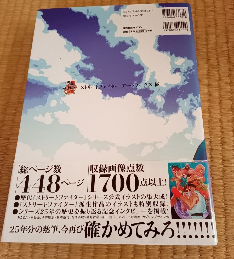 ストリートファイターアートワークス極 カプコン オフィシャル ストリートファイターアートワークス極 カプコン オフィシャル