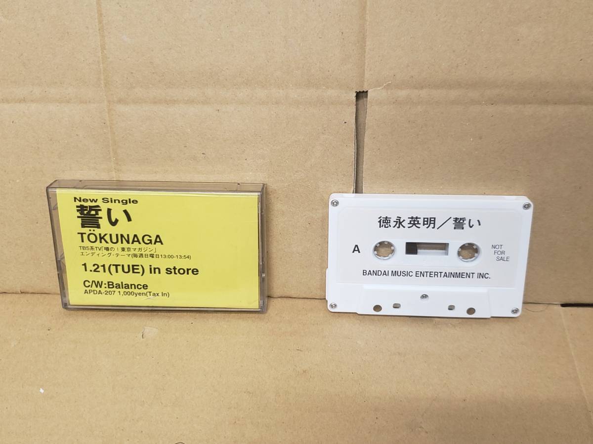  Tokunaga Hideaki -..* образец запись 