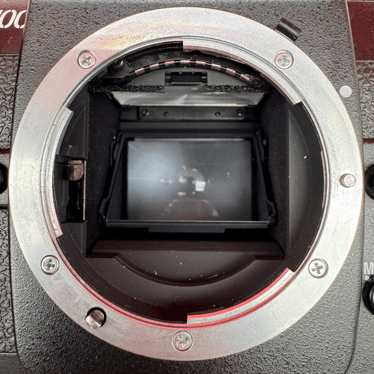 △16 Nikon F100 フィルムカメラ 一眼レフカメラ ボディ AF △16 Nikon F100 フィルムカメラ 一眼レフカメラ ボディ AF