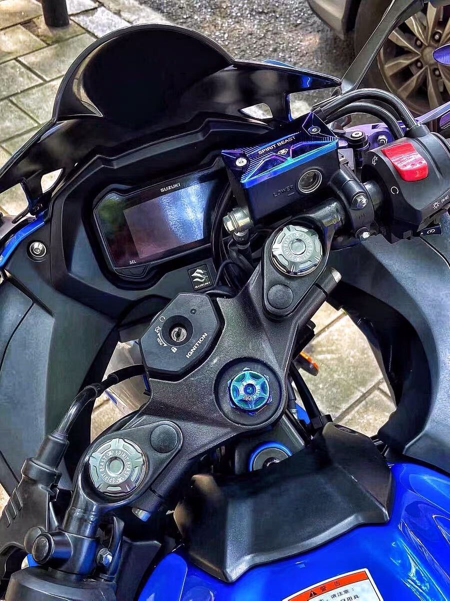 GSX250R V-STROM250 главный цилиндр колпак нагрев titanium 
