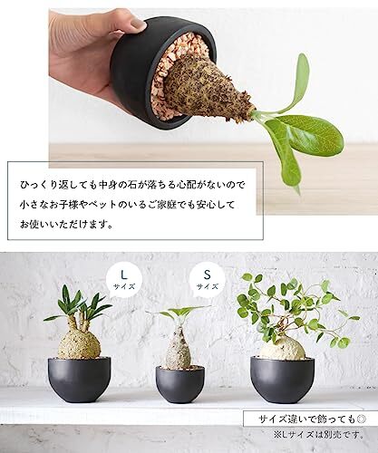フェイクグリーンコーデックスエクリアグリーナリーライフ消臭アーティフィシャルグリーンウィンゾリーWindsoriiSサイ