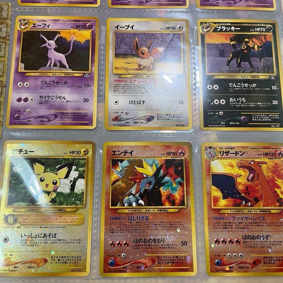 ポケモンカード ネオ プレミアムファイル2 遺跡をこえて ポケモンカード ネオ プレミアムファイル2 遺跡をこえて