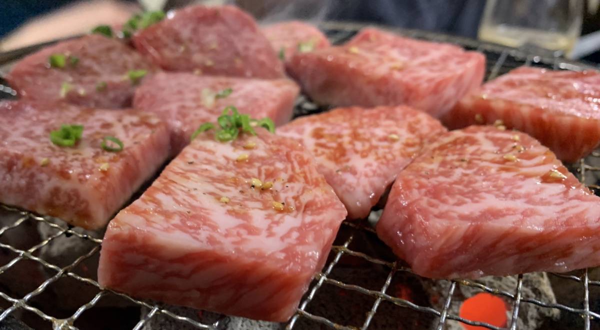 ☆白炭オガ炭☆『 四角形 』中国/ベトナム産 オガ炭20kg 3,140円 ☆白炭オガ炭☆『 四角形 』中国/ベトナム産 オガ炭20kg 3,140円