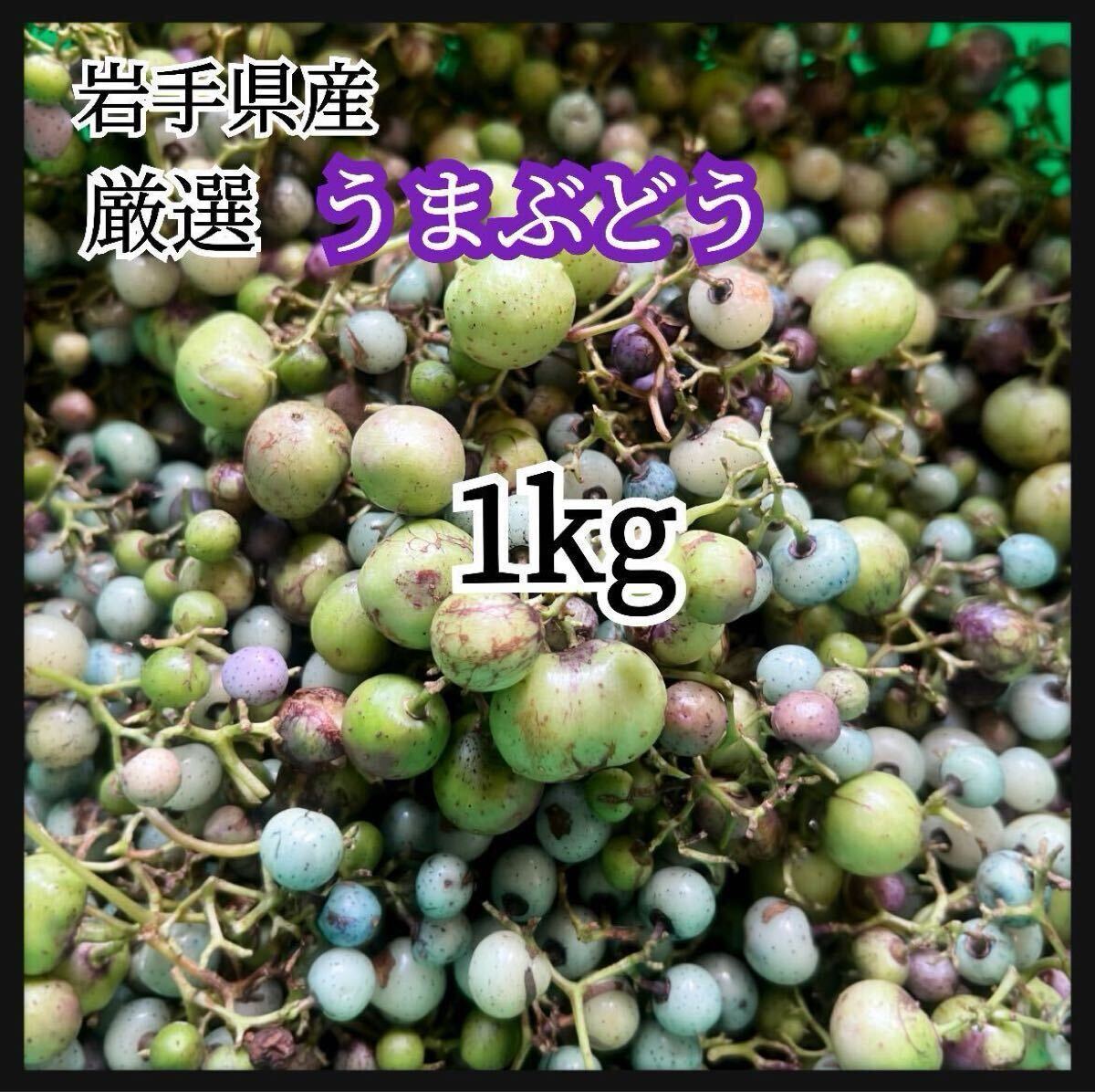 岩手県産 1kg 馬ぶどう うまぶどう　冷凍クール便　薬膳　うまぶどう酒