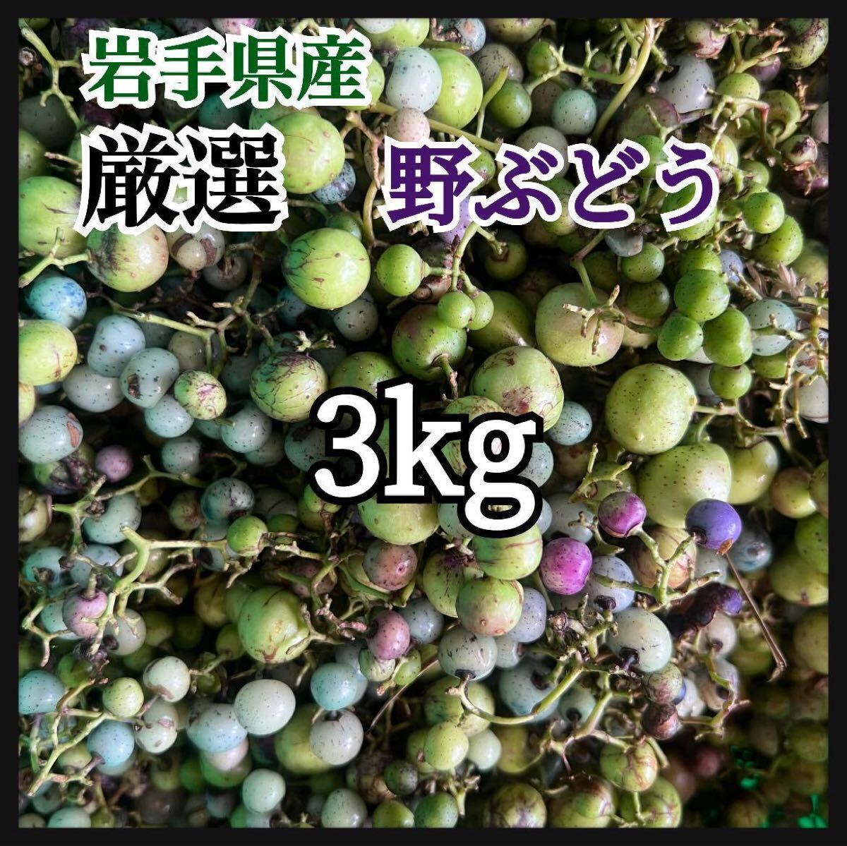 岩手県産 3kg 野ぶどう うまぶどう　冷凍クール便　薬膳　うまぶどう酒