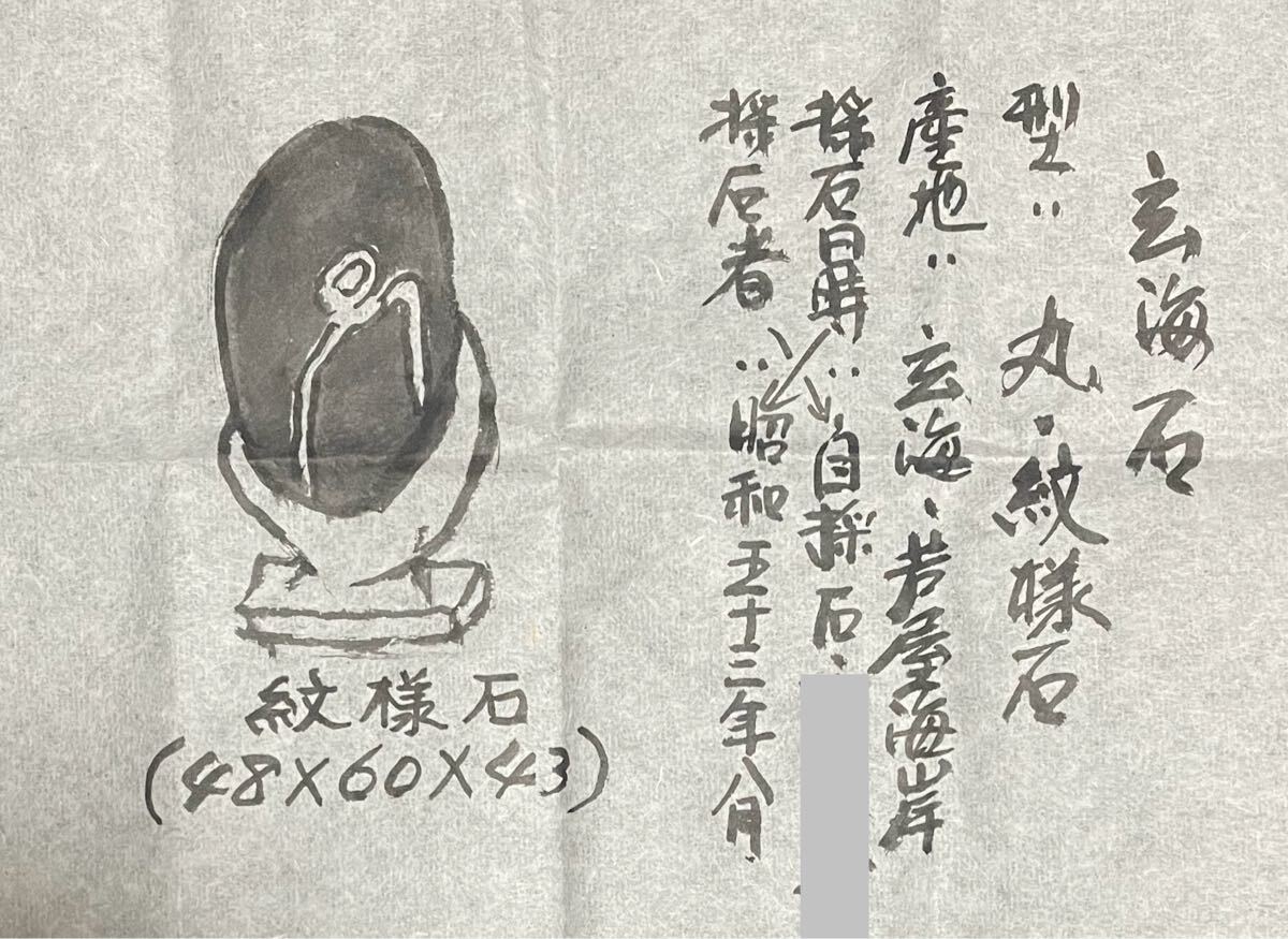 玄海石 紋様石 水石 天然石 観賞石 鑑賞石(原石)|売買された 玄海石 紋様石 水石 天然石 観賞石 鑑賞石(原石)|売買された