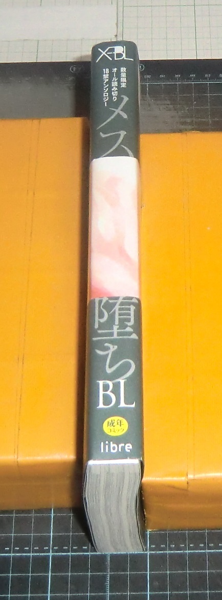 ＥＢＡ！即決。アンソロジー　メス墮ちＢＬ　數(shù)量限定本?。兀拢獭ˉ辚芝? bimg=