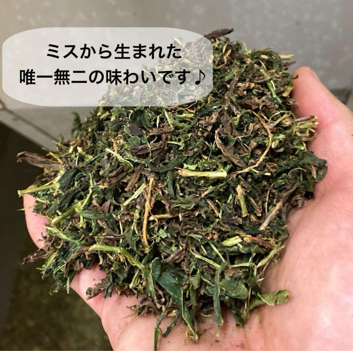 ＊無農薬お茶＊緑茶と紅茶両方を味わえる不思議な味わい♪グリーンミルクティー150g　農薬・化学肥料・除草剤・畜産堆肥不使用 ⑦
