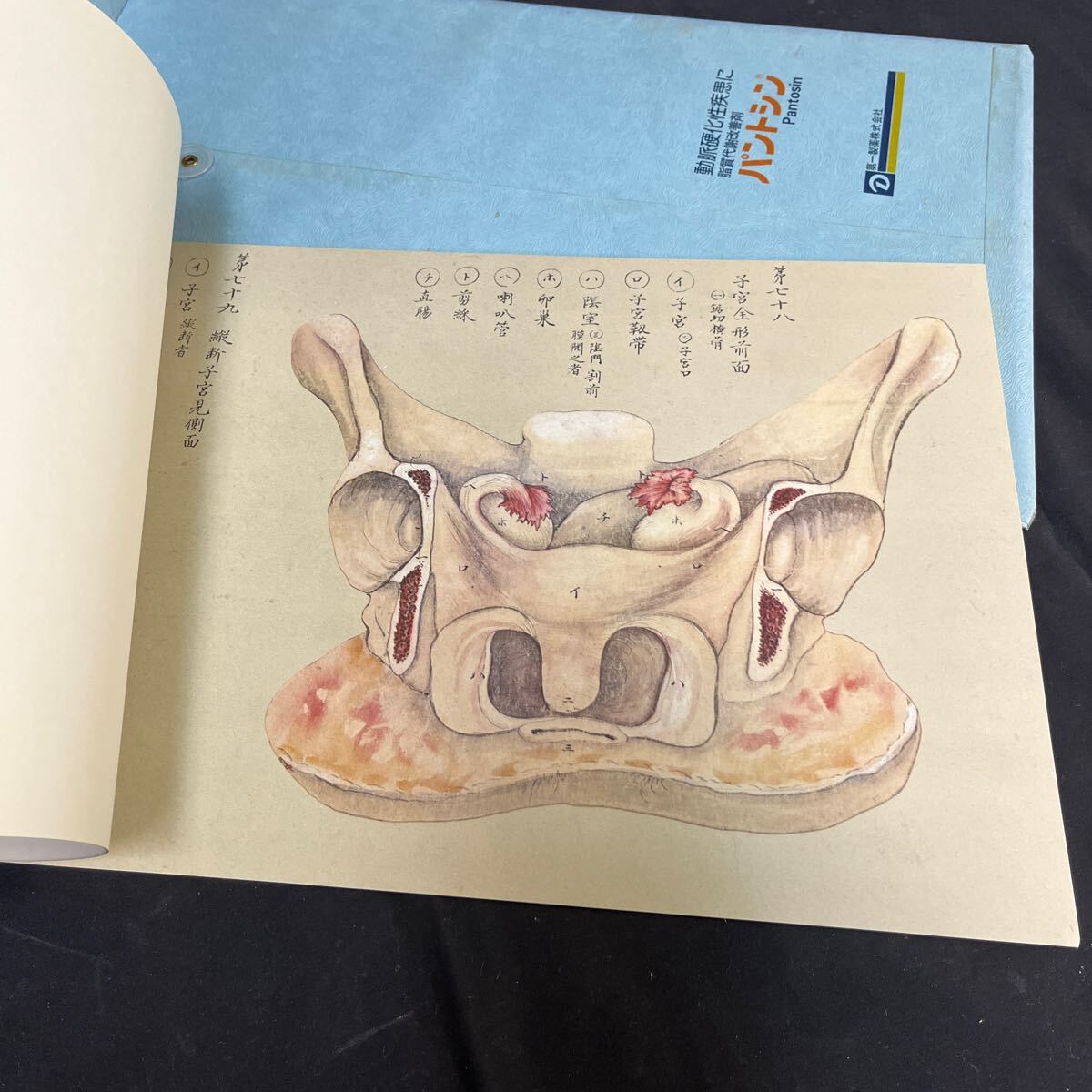 item_image_8