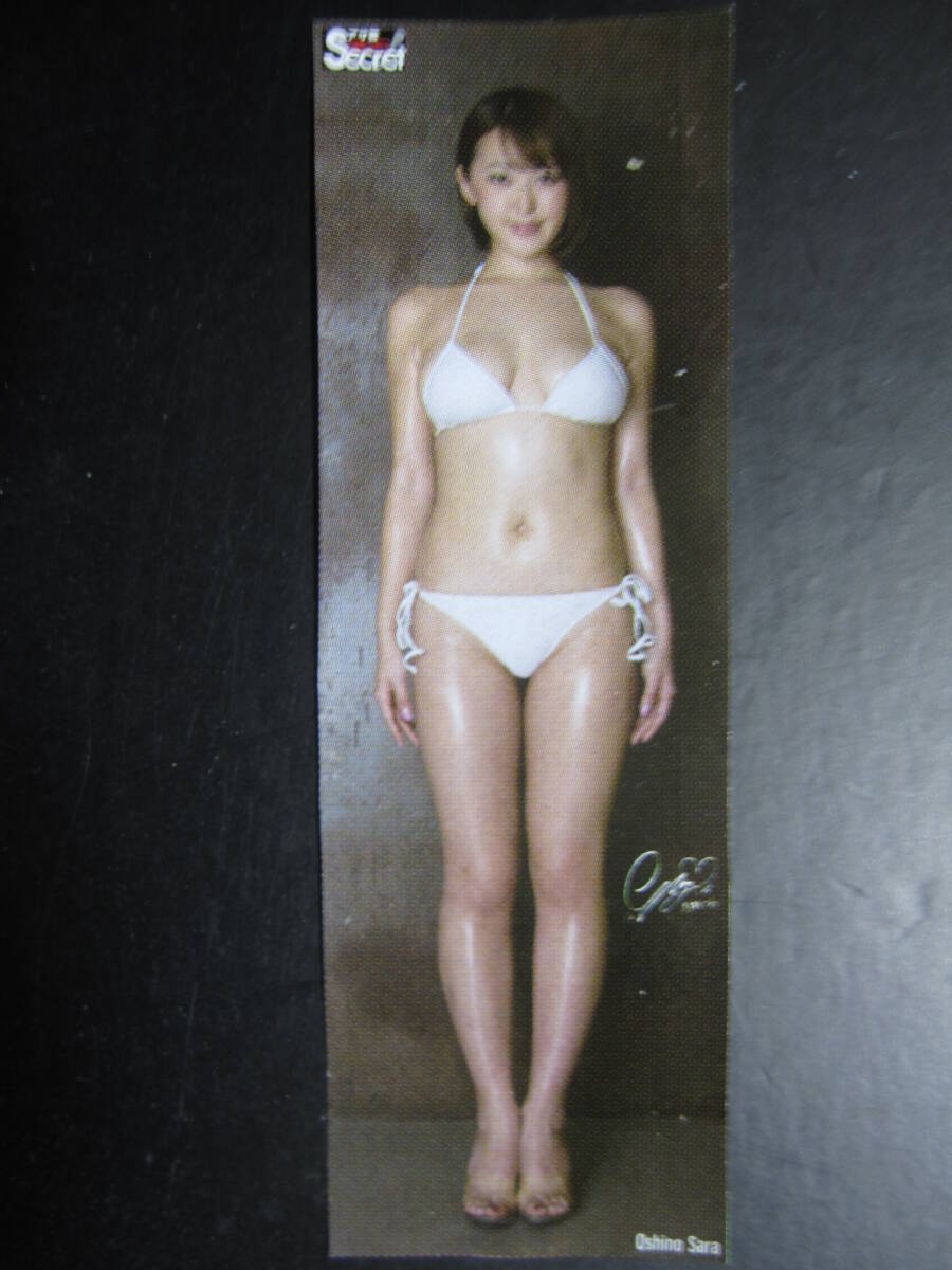 HOSHINO ホシノ 等身大ポスター アサ芸Secret Vol59 徳間書店 Yahoo!オークション - 等身大ポスター 忍野さら アサ芸Secret