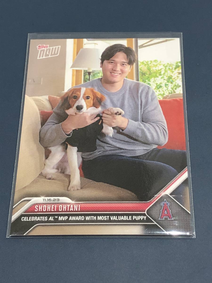 2023 MLB TOPPS NOW 大谷翔平 CELEBRATES AL MVP AWARD WITH 2023 MLB TOPPS NOW 大谷翔平 CELEBRATES AL MVP AWARD WITH