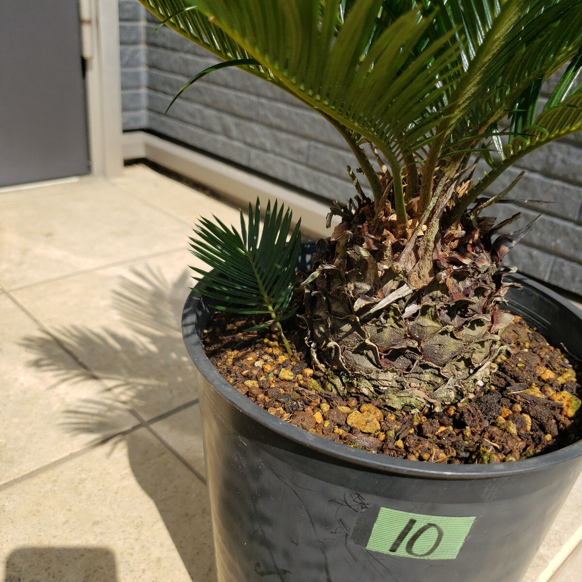 item_image_5